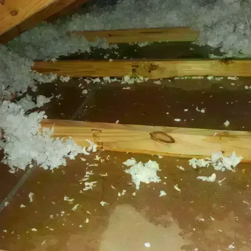 Attic Water Damage in Henderson, KY