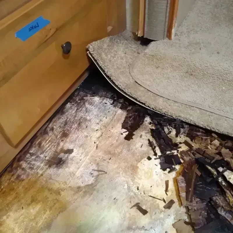 Wood Floor Water Damage in Henderson, KY